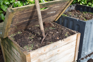 Compost Bin