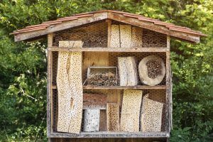 insect hotel