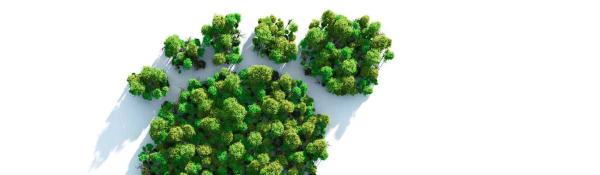 5 Ways To Reduce Your Packaging Carbon Footprint