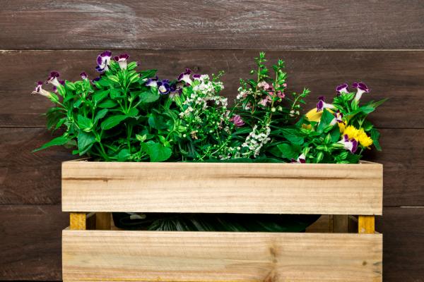 5 Great Ways to Recycle Wooden Pallets 